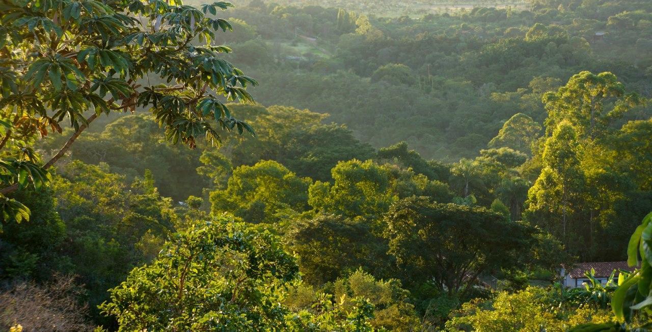Cerrado Lodge Brasília Ngoại thất bức ảnh